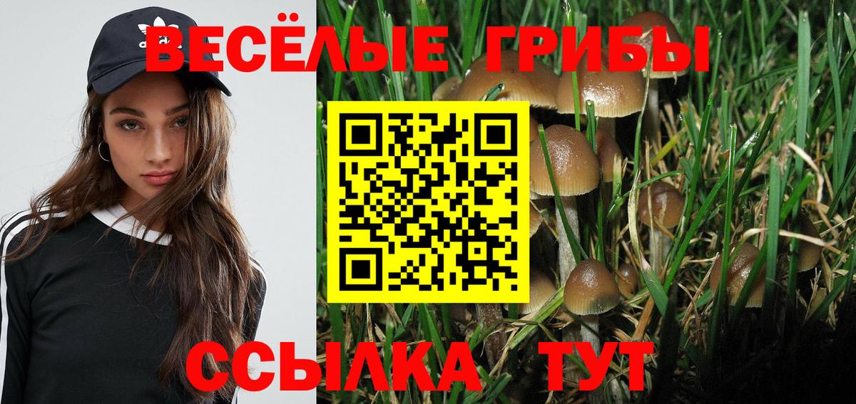 МЕФ Лангепас